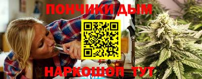 шишки Краснознаменск