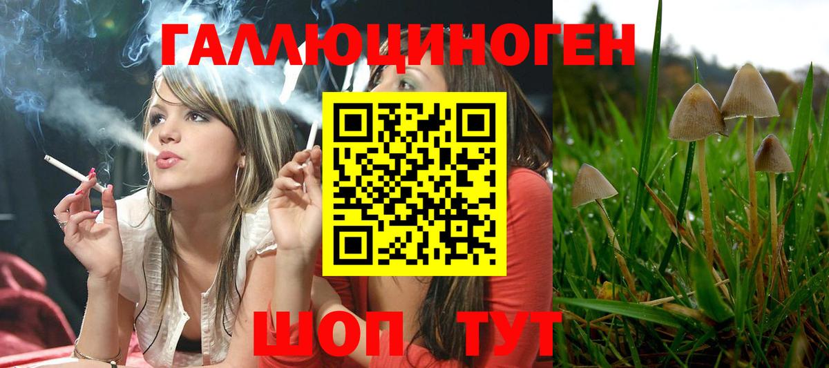 Галлюциногенные грибы GOLDEN TEACHER  Галлюциногенные грибы Magic Shrooms  Вход с VPN  Улан-Удэ 